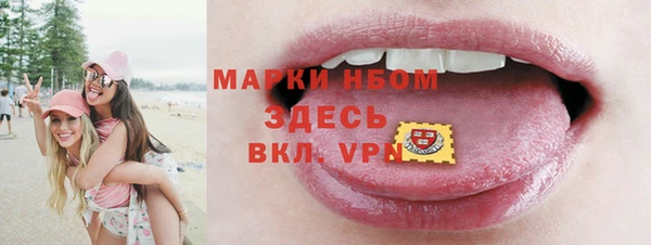 гидра Заводоуковск