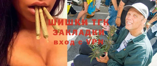 гидра Заводоуковск